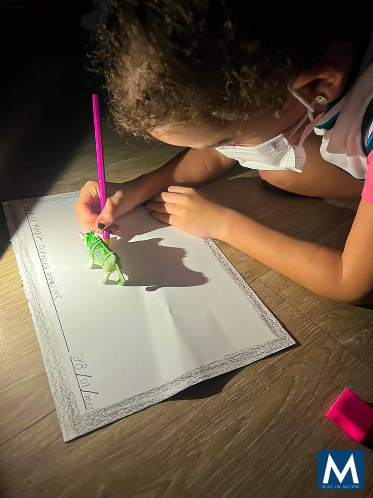 Sombra e luz são o foco da atividade da Educação Infantil